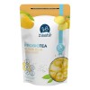 Probiotea Mango Jengibre, Añadida Con Chía 0% Zaaté Frutal