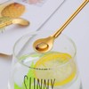 Do Buy Stainless Steel 2-in-1 Straw with Spoon Reusable Drinking