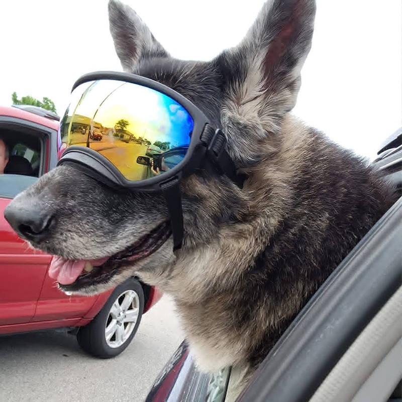 Large Dog Sunglasses with Adjustable Strap UV Protection, Winproof, Suitable