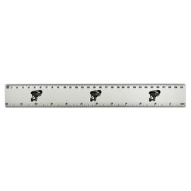 'CCTV Camera' 30cm (12 Inch) White Plastic Ruler (RL00087312)