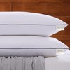 Mr.Ye Bed Pillows for Sleeping 2 Pack Queen Size Pillows