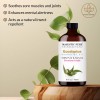 Eucalyptus Essential Oil | 100% Pure and Natural | 4