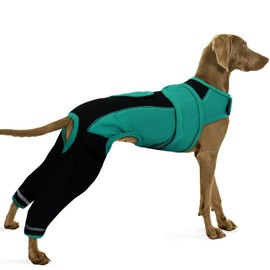 Dog Suit for After Surgery, Body Suit Surgical Suit Dog Vest after Surgery Female Neutering Recovery Suit Male Leg Bandage Protector(Green, XL)