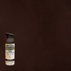 Rust-Oleum 247570 Universal All Surface Spray Paint, 12 oz, Satin