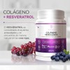 Colágeno Hidrolizado en Polvo con Resveratrol Sabor Coco | Vitamina