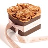 Infinity Rose Box 4 Real Roses Preserved Golden Wedding Gift