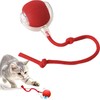 Chewie Ball – Juguete interactivo para gatos con 3 modos