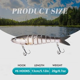 SANTUO 5pcs Multi Jointed Segmented Fishing Bait for Freshwater and Saltwater Slow Sinking Bait with Storage Box for Bass Trout Pike Walleye Salmon Crappie