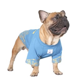 iChoue French Bulldog T Shirts Clothes for Medium Dogs Frenchie Pug English Pitbull Boston Terrier - Blue Money, M