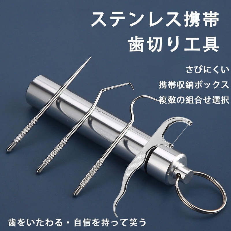 HanaHaul Toothpick Case, Toothpick Holder, Waterproof Toothpick Tube, Portable, Alloy
