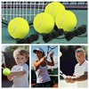 Wzenclave 4pcs Tennis Trainer Set with Elastic String Includes 4