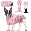 CuteBone Skulls SSF02M-DE Dog Surgery Recovery Suit Cat Surgical One-Piece