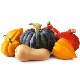 Seeds Colorful Pumpkin Mix 7 Sweet Edible Varieties Around 20 Seeds for Planting Vegetable Garden