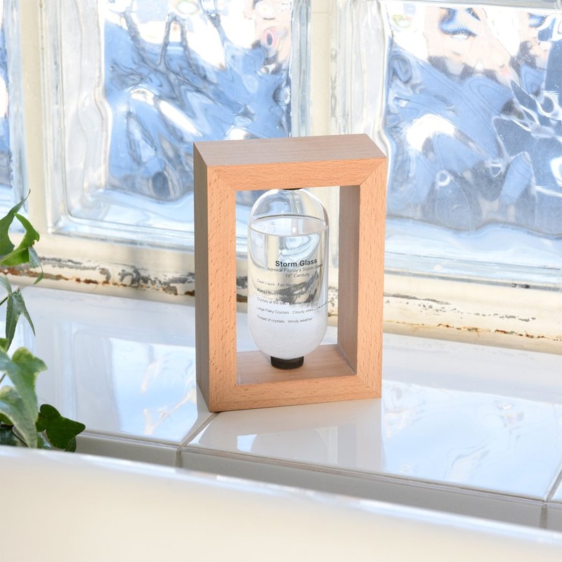 Chatani Sangyo Fun Science Storm Glass 333-271