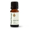Plant Therapy Aceite Esencial De Jengibre 10ml
