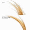 Redken Tratamiento Extreme Cat Cabello Muy Dañado Reconstruye Fortalece Ayuda