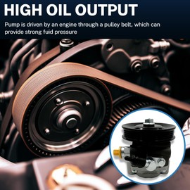 DYZJKWJW 21-5931 Power Steering Pump with Pulley,For Lexus ES300/RX330 For Toyota Avalon/Highlander/Camry Solara 3.0L 3.3L V6