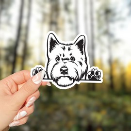 West Highland White Terrier Dog Peeking Vinyl Sticker - for Car Wall Large Size - Waterproof - 12"