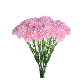 20 inch Bouquets 10 Stem Carnations,Outdoor UV Resistant No Fade Artificial Flower,Carnation Silk Petals Fake Flowers Forever Plants for Photo Props Home Party and Wedding Decor (Light Pink)