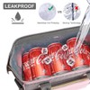 IDEATECH Insulated Lunch Box for Women, Cute & Reusable Cooler