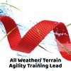 Dog/Puppy Obedience Recall Training Agility Lead Leash - Perfect for