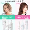 EARTHEART Volume Up Series 3-Piece Set (Shampoo, Hair Pack, Lotion)