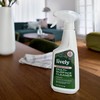 Lively Home Cleaning & Stain Removal Bundle – Multi-Surface Cleaner