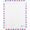 JAM PAPER Tyvek Tear-Proof Open End Catalog Envelopes - 10