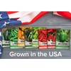 Hydroponic Indoor Pepper Growing Kit – Indoor Pepper Variety Pack