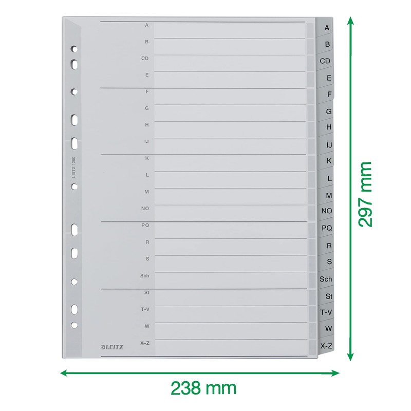 Leitz Index for A4, Cardboard Cover Sheet and 20 Plastic