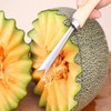 Honfitat Stainless Steel V Shape Pineapple Eye Peeler, 19CM, 40g
