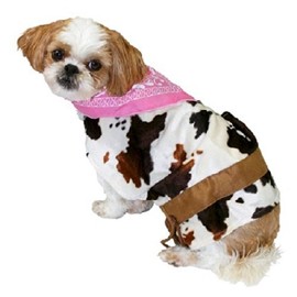 Pet Costume - Cowgirl (X-SMALL)