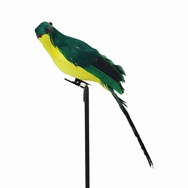 Feather Green Parrot Artificial Bird for Modern Home Garden Zoo Ornament Decoration Colorful (Green)