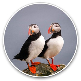 Vinyl Stickers (Set of 2) 7.5cm - Puffin Couple Pelagic Sea #14150