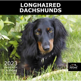 MICASA Longhaired Dachshunds 2023 Hangable Monthly Wall Calendar | 12" x 24" Open | Thick & Sturdy Paper | Giftable | Cute Dog | Delightful Dachshunds