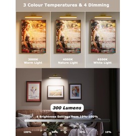 Skairipa Picture Light Battery Operated, Wireless Art Light for Paintings, Dimmable 5000mAh Recharging Battery Picture Light with Remote Control for Wall, Gallery Dartboard Art Bedroom (Gold-2Pack)