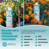 MARPHYL Plant Fertilizer Houseplants and Garden - Marine Phytoplankton Soil