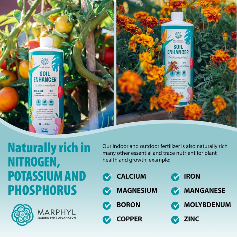 MARPHYL Plant Fertilizer Houseplants and Garden - Marine Phytoplankton Soil