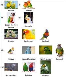 Bird Diaper Harness Flight Suit Clothes, Parrot Flight Suit with Leash for Parrot, Bird Flying Clothes with Rope and Handle for Outdoor Activities Training (with Leash - Small)