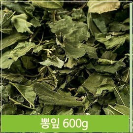 Other high-quality dried mulberry leaves and medicinal herbs, traditional health tea / 기타 고품질 건조 뽕잎 상엽 약재 건강 전통 차