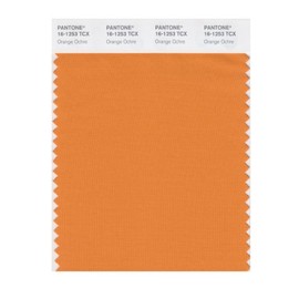 PANTONE Smart 16-1253X Color Swatch Card, Orange Ochre