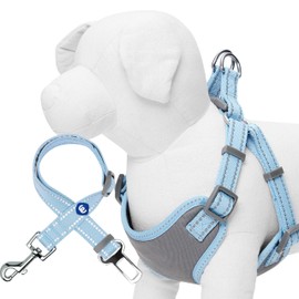 Blueberry Pet Reflective Dog Harness and Seatbelt Set