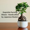 Kaizen8 Japanese Bonsai Scissors, 2.5 Inch High Carbon Steel Blade,