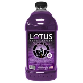 Purple Lotus Plant Energy Drink Concentrate | Pure Cane Sugar | 64 fl oz | 1:5 | Natural Caffeine from Green Coffee Bean