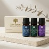 Kit Aceites Esenciales Relajante 3x10ml Lavanda Cedro Eucalipto | 100%