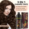 Kaisasa Champú Para Tinte De Cabello marrón oscuro 3 En