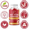 Healthier Options Irish Sea Moss Gummies with Bladderwrack & Burdock