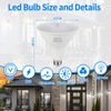 Par38 Outdoor Flood Light Bulb, LED Flood Light Bulbs 4