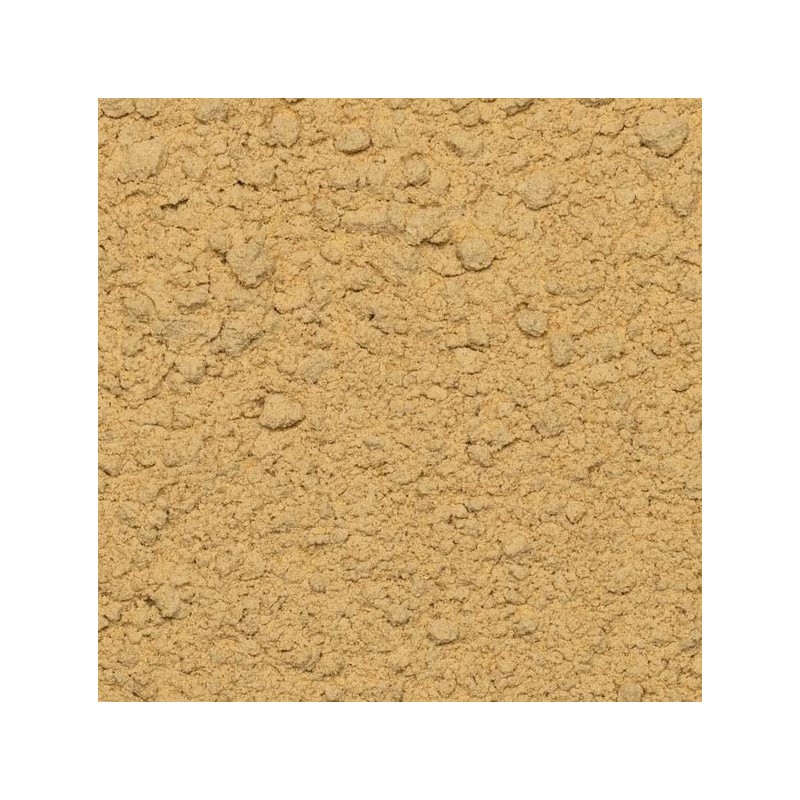Wholefood Earth Organic Maca Powder 500g Raw | Vegan |