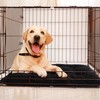 MABOZOO Dog Bed, Indestructible Chew Proof Pet Bed Mat, Durable